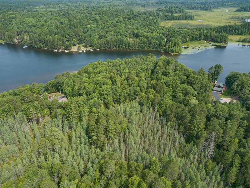 Buckatabon Lake Acreage : Conover : Vilas County : Wisconsin
