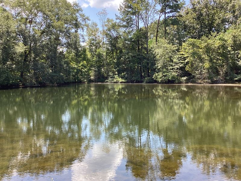 County Rd 70 House and Land : Andalusia : Covington County : Alabama