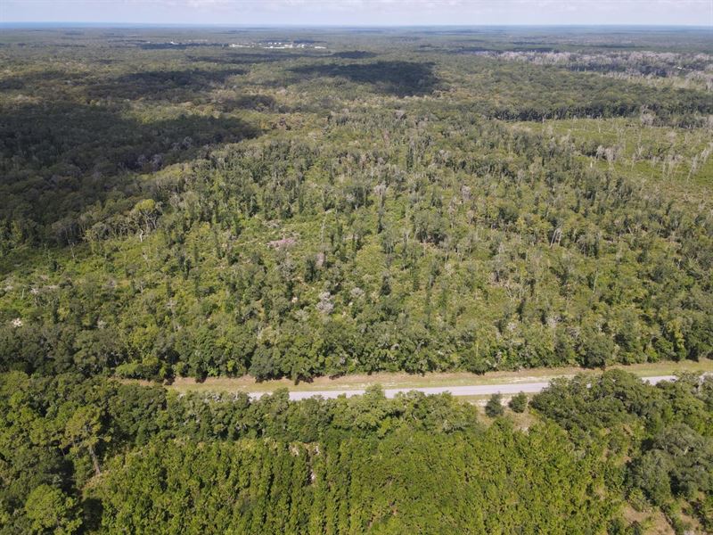 Spring Warrior 188 : Perry : Taylor County : Florida