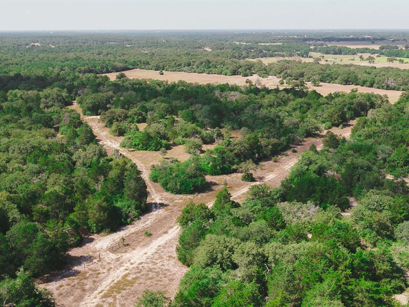 87.67 Acres in Burleson County : Caldwell : Burleson County : Texas