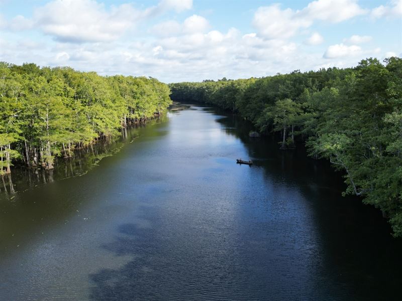 La, Rapides 40 Acres : Forest Hill : Rapides Parish : Louisiana