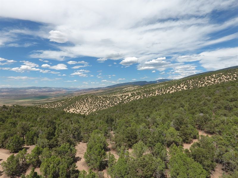 Willow Creek Ranch : Salina : Sevier County : Utah