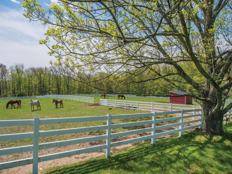 Bankruptcy Auction Wonderland Farms : Newton : Sussex County : New Jersey
