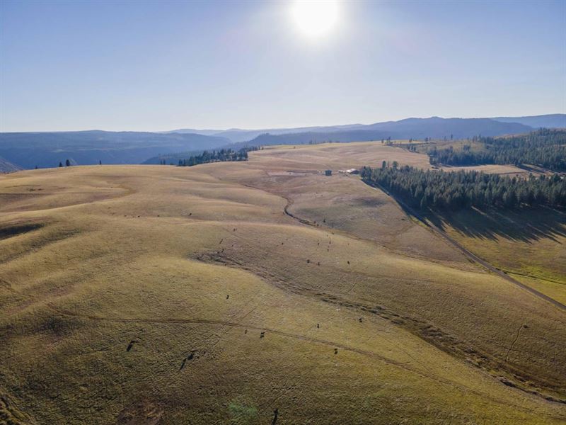 The Madison Place : Troy : Wallowa County : Oregon