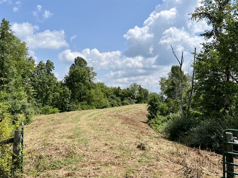 Nice Views, Tons of Wildlife, Creek : Lowell : Washington County : Ohio