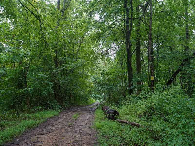 Twp Rd 484 40 : New Matamoras : Washington County : Ohio