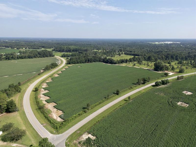 16.24 Acres Brooks County : Barney : Brooks County : Georgia