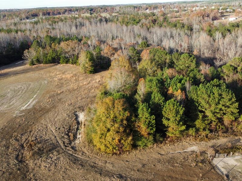 37 Acres Lee County : Salem : Lee County : Alabama