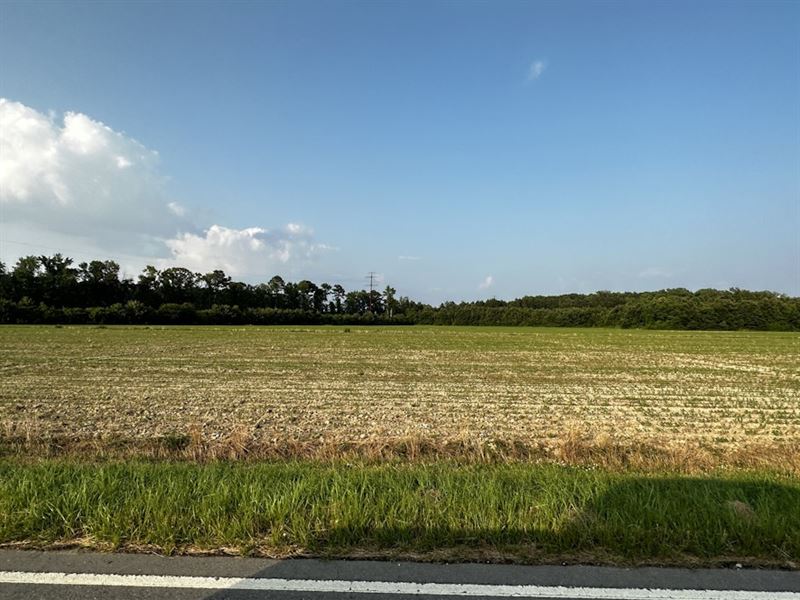Beasley Road Farm Tract, Washington : Roper : Washington County : North Carolina