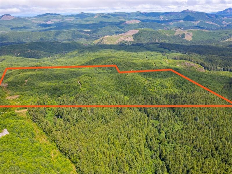 231.42 Acres in Seaside, Oregon : Seaside : Clatsop County : Oregon