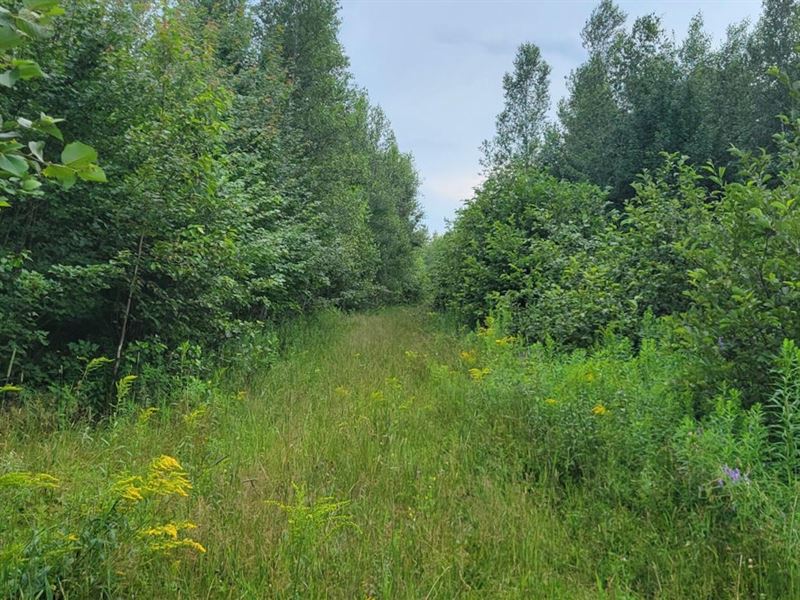 Map 4 Lot 2-11 D Call Rd, Milford : Milford : Penobscot County : Maine