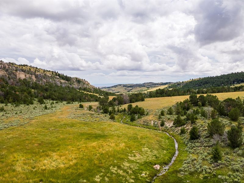 Pine Creek Mountain Pasture : Kaycee : Natrona County : Wyoming