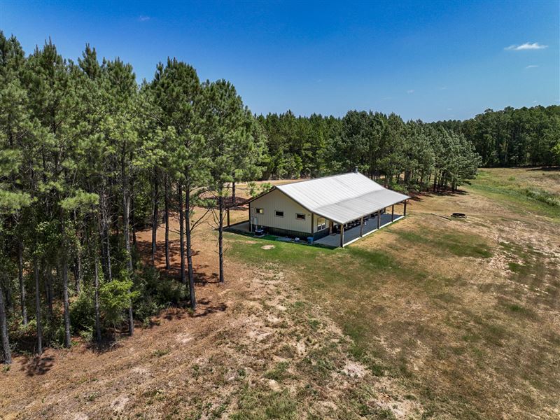 742 Acres, FM 2517 : Carthage : Panola County : Texas