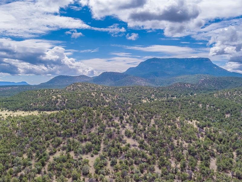 Rustic Retreat Hunting Cabin Unit, Ranch for Sale in New Mexico