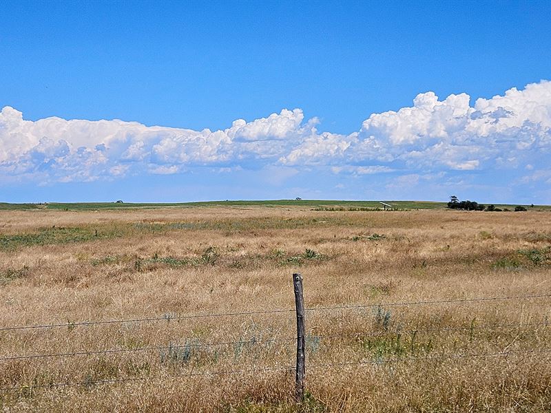 Lodgepole Dryland & Pasture : Lodgepole : Cheyenne County : Nebraska