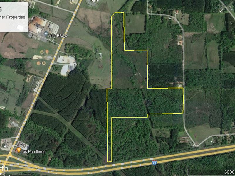 116 Acres in Newton County : Newton : Newton County : Mississippi