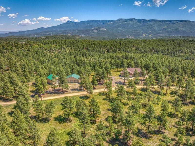 33025 Aspen Trail, Trinidad, Co 810 : Trinidad : Las Animas County : Colorado