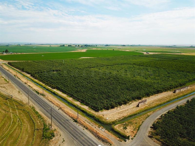 Top Quality Orchard Apples & Cherri : Eltopia : Franklin County : Washington