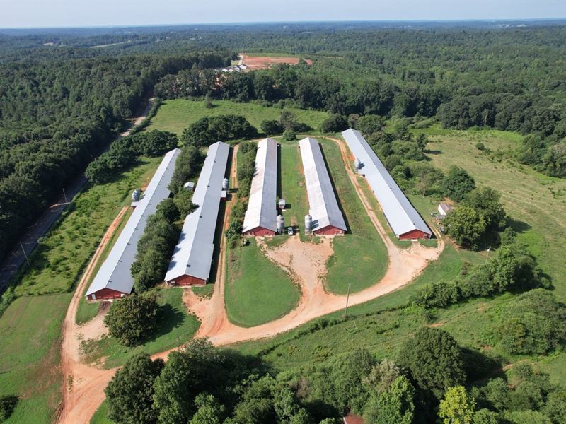 Red Hollow Broiler Farm : Eastanollee : Stephens County : Georgia
