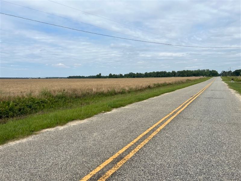 52 Acre Farm Land, Seminole County : Donalsonville : Seminole County : Georgia