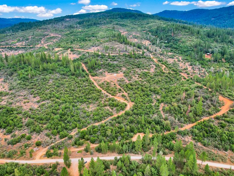 40 Scenic Acres : Dobbins : Yuba County : California