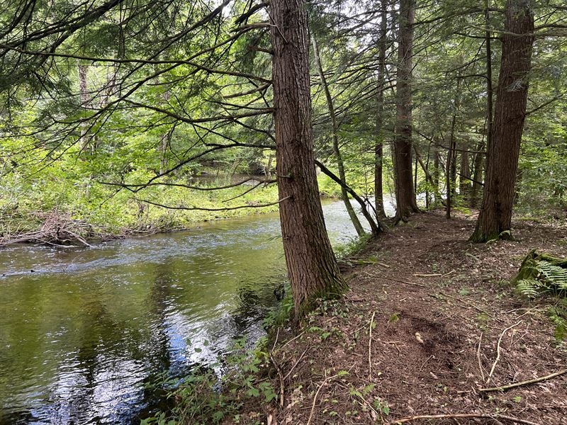Mad River Building Site : Camden : Oneida County : New York