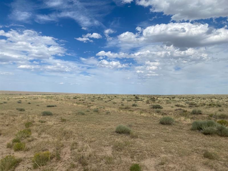 Cr 614, Walsenburg, Co 81089 : Walsenburg : Huerfano County : Colorado