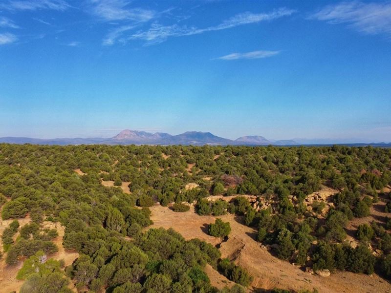 139 River Ridge Ranch, Walsenburg : Walsenburg : Huerfano County : Colorado