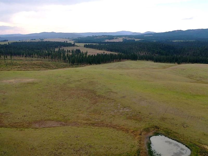 The Wilson Place : Troy : Wallowa County : Oregon