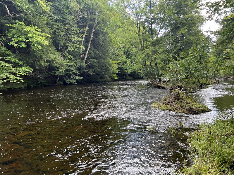 On Mad River : Camden : Oneida County : New York