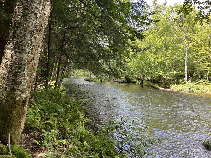 Mad River Home or Cabin Site : Camden : Oneida County : New York