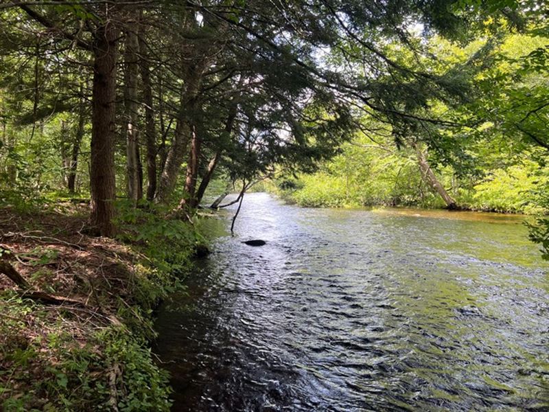 Bordering Mad River : Camden : Oneida County : New York