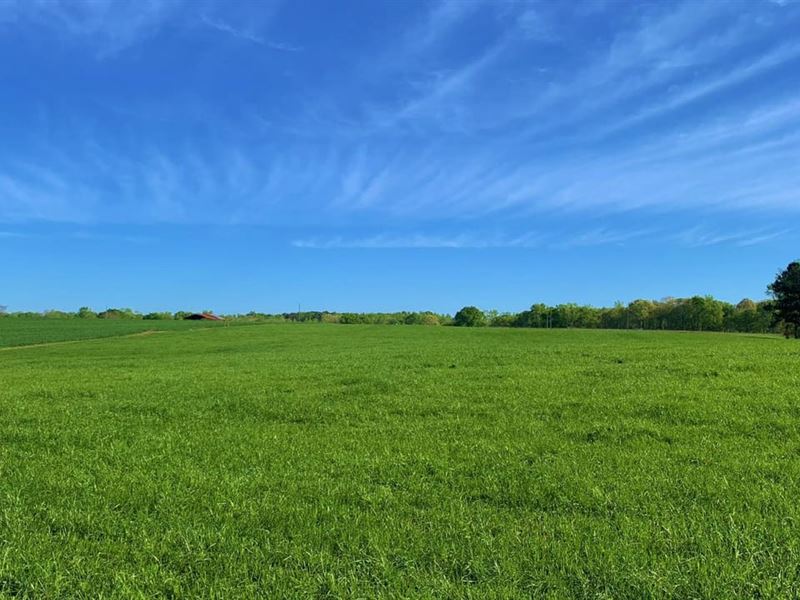 Ag Estate Lot 2, 12.086 Ac : Madison : Morgan County : Georgia