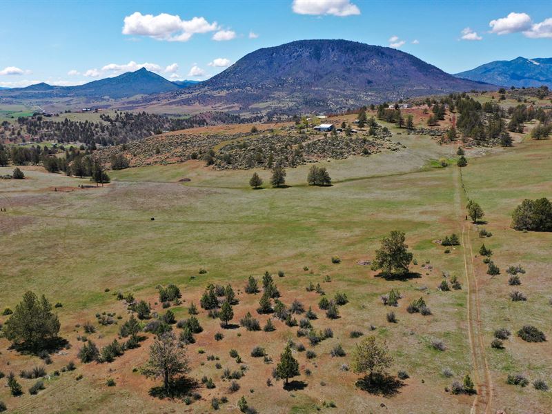 20 Scenic Acres : Montague : Siskiyou County : California