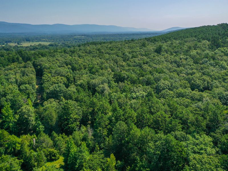 51 Acres in Waldron, Arkansas : Waldron : Scott County : Arkansas