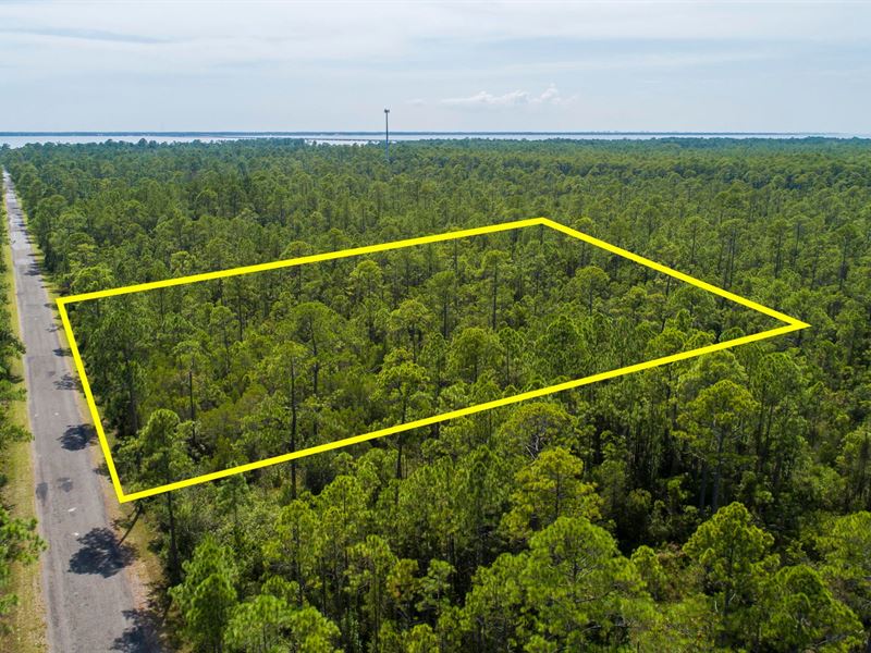 Land for Sale in Walton County : Freeport : Walton County : Florida