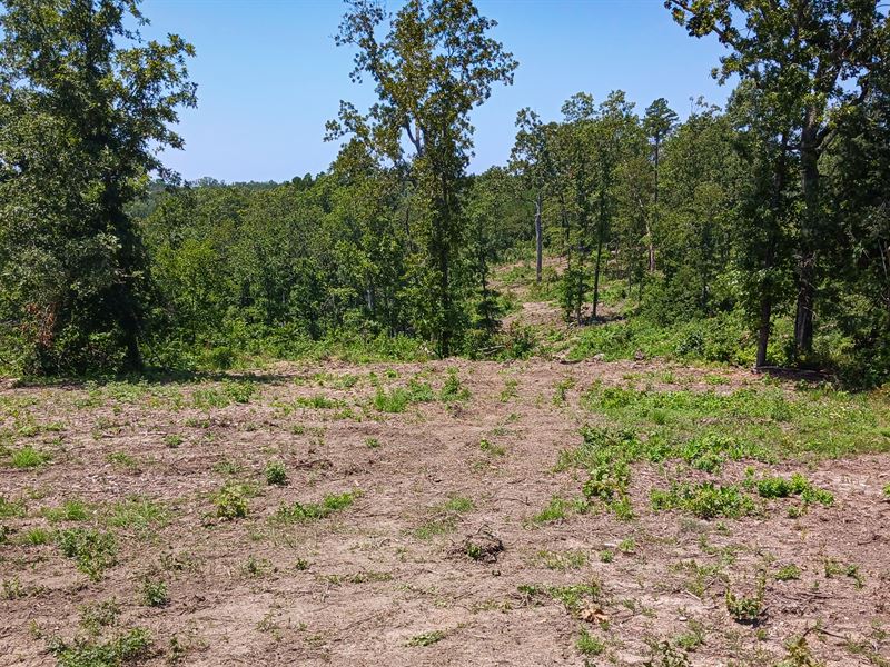 Large Home Site on County Road : Bucyrus : Texas County : Missouri
