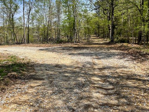 Get Away From it All and Relax : Birch Tree : Oregon County : Missouri