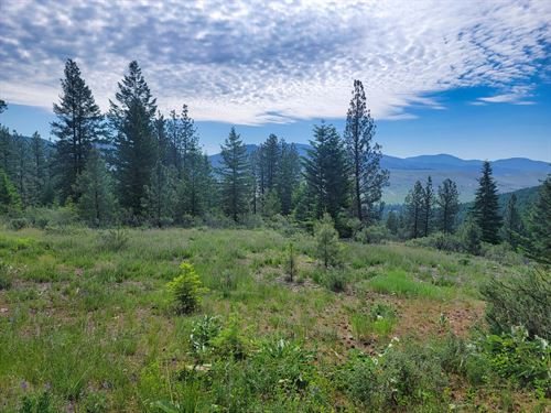 Lynch Creek Tract : Plains : Sanders County : Montana
