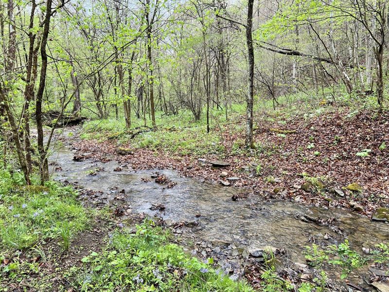 Labelle Rd, Fayette County, 200 : East Millsboro : Fayette County : Pennsylvania