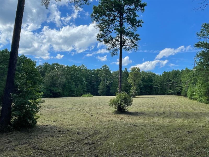 Secluded Recreational Tract : Blackstock : Chester County : South Carolina