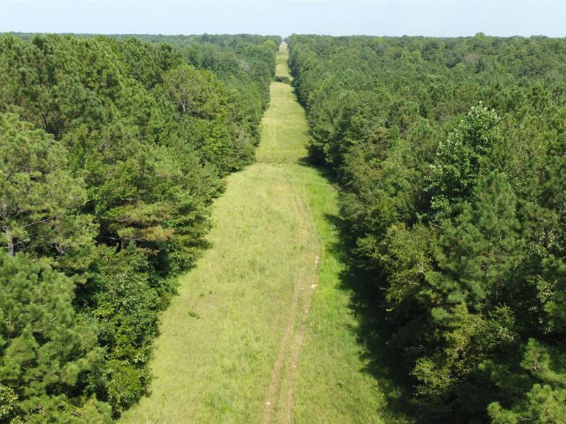 36 Ethelsville : Ethelsville : Pickens County : Alabama