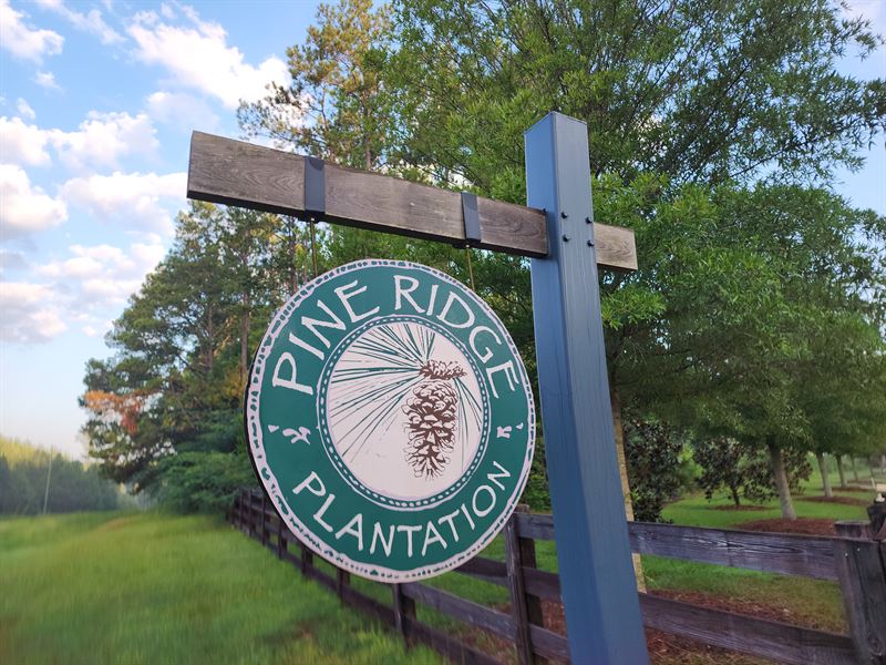 Pine Ridge Plantation : Hamilton : Harris County : Georgia