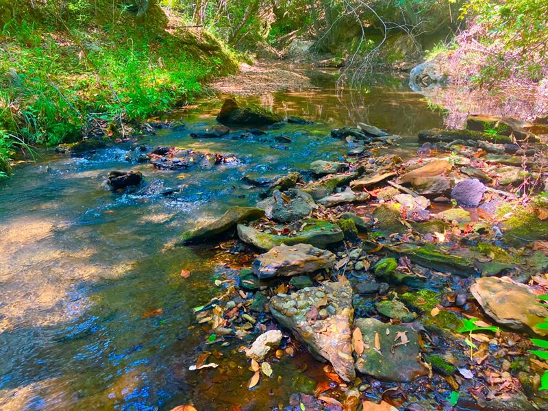 Franklin Hunting Spot : Brookhaven : Franklin County : Mississippi