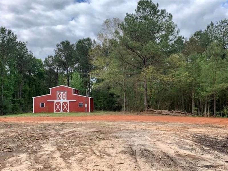19.5 Acres Land for Sale and Barn : Smithdale : Amite County : Mississippi