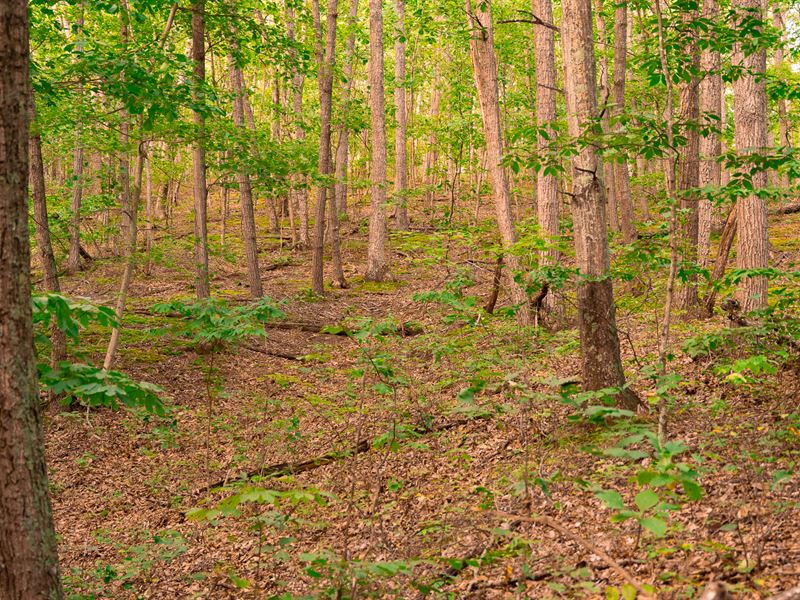 Ross County Land for Sale : Chillicothe : Ross County : Ohio