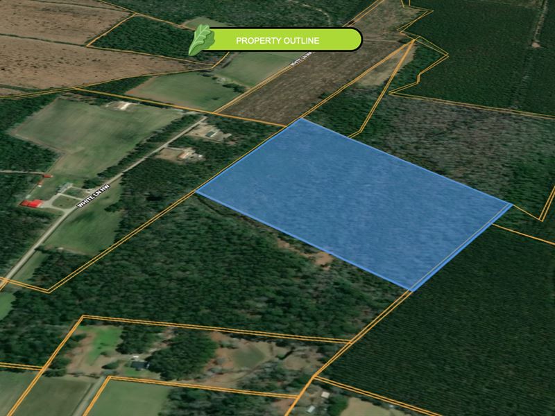 Large Country Acreage : Ash : Brunswick County : North Carolina