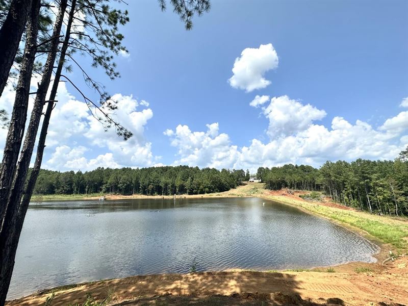 Chimney Lake Farm : Sprott : Perry County : Alabama