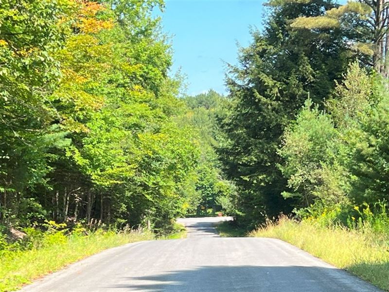 Perfect for Atv Enthusiasts : Greig : Lewis County : New York