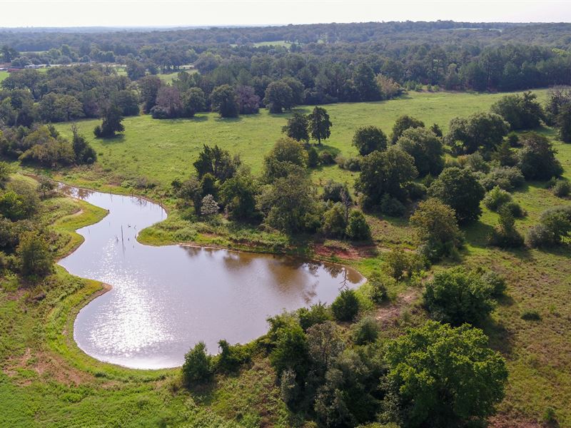 83.5 Acres in Milam County : Gause : Milam County : Texas